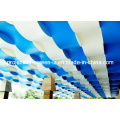 Hot Sell Colorful PVC Stretch Ceiling Film 250d*250d